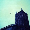 As the crow flies, diptych