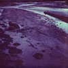 Muddy waters