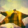 Starfish, Grand Anse