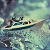 The chase I