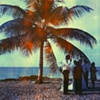 Pigeon Point wedding