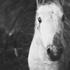 b/w