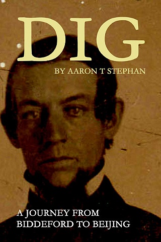 DIG - The Book