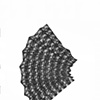 GWPE Folded and Fanned II