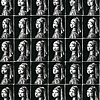 GIRL WITH A PEARL EARRING 64 TIMES