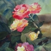 Roses Are Red
