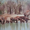 The Watering Hole