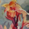 Summer Lillies