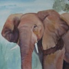 A Glance from the Watering Hole