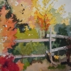 Fall Colors