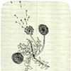 Dandylion