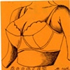 Boobies 1