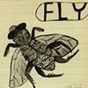 Fly