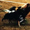Gladiadores #4