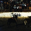 Charro #3
