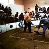 Gladiadores #1