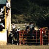Charro #1