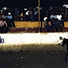 Charro #2