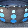 Lulu in Blue