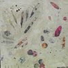 COLLAGE PAINTINGS