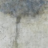 "the thunderhead"