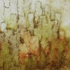 "shuffling silence"