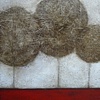 "three sisters"