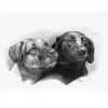 "Floyd & Beezee"