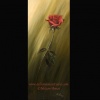 "The Rose"