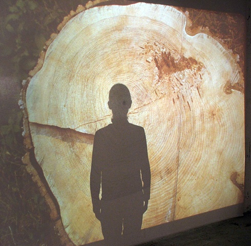 noriko ambe
