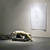 curiosities of the object