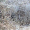 zhu wei