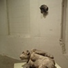 AMNESTIES 