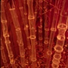 The Bamboo
