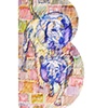 B is for Blue Lacy