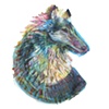 C is for Collie
