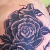 Black rose Cover -after