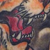 Stiss tiger detail