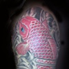 Matt K - Koi detail