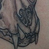 skull