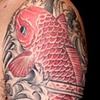 Matt K - Koi Sleeve