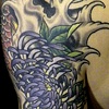 Mark E - Dragon Koi multi