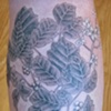 Poison Oak