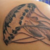 jellyfish 2