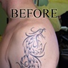 Black rose cover -before