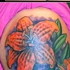 Lilies on lily cover up