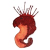 Seamonster