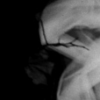The Recollection Project