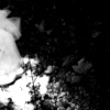 The Recollection Project