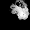 The Recollection Project